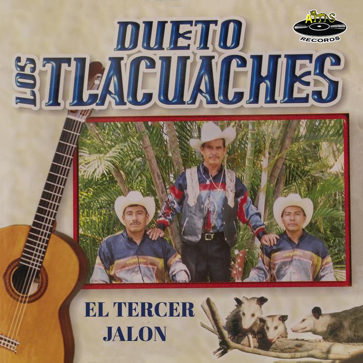 Dueto Los Tlacuaches's avatar image