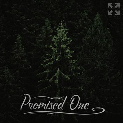 Promised One (feat. Nathan Seagraves) By Crossroads Church, Nathan Seagraves's cover