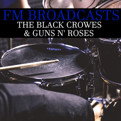 Knockin' on Heaven's Door (Live) By Guns N' Roses's cover