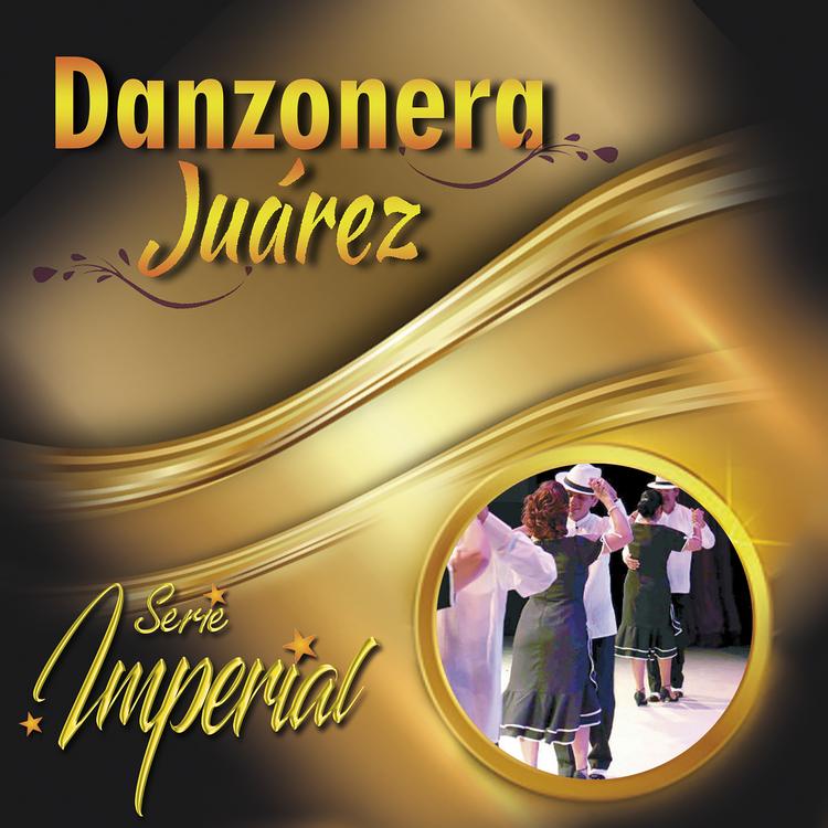 La Danzonera Juárez's avatar image