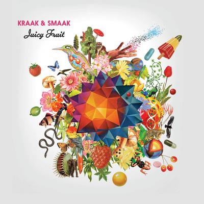 My Mind's Made Up (Album Version) By Kraak & Smaak, Berenice van Leer's cover