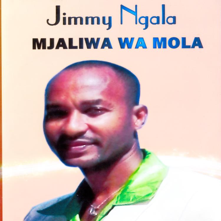 Jimmy Ngala's avatar image