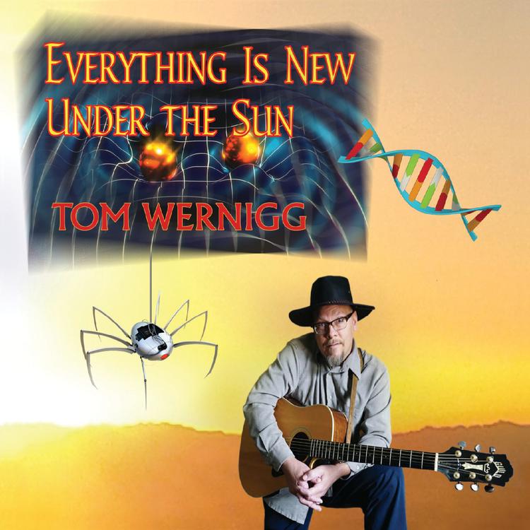 Tom Wernigg's avatar image