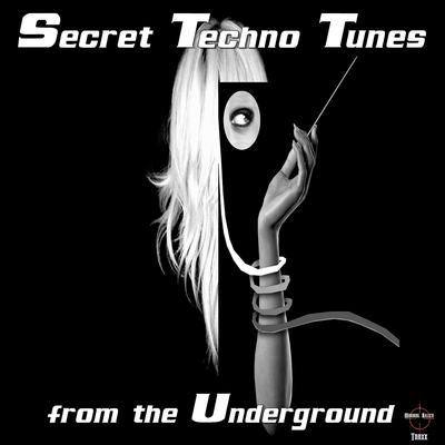 Secret Techno Tunes From The Underground's cover