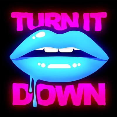 Turn It Down (Le Castle Vania Remix) By Le Castle Vania, Kaskade, Rebecca & Fiona's cover