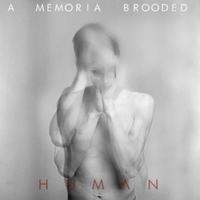 A Memoria Brooded's avatar cover