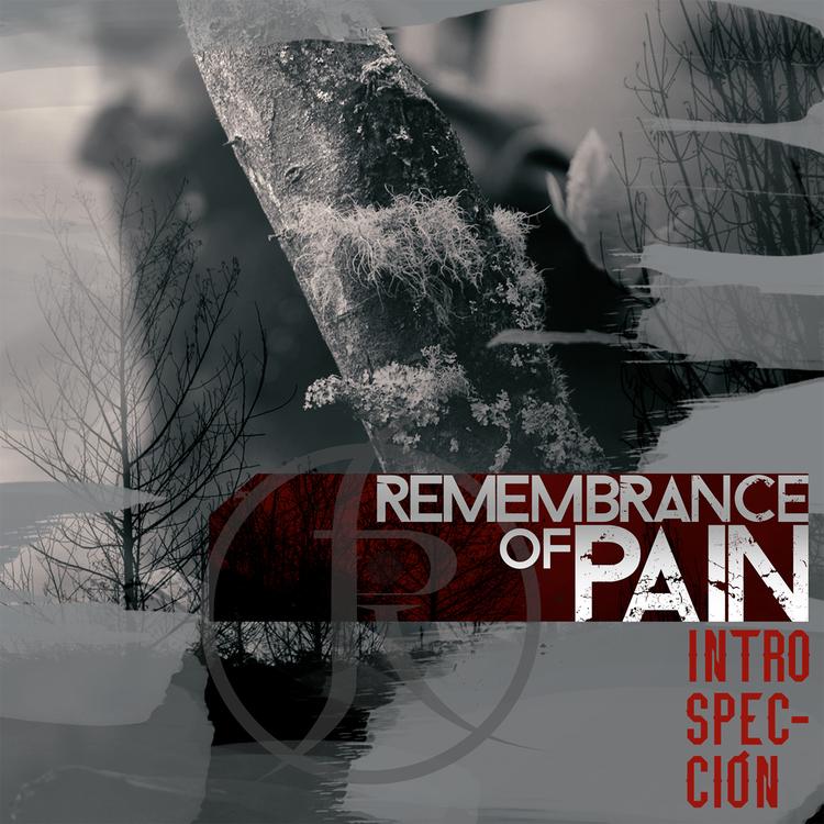 Remembrance of Pain's avatar image