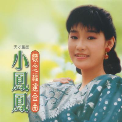 懷念福建金曲's cover