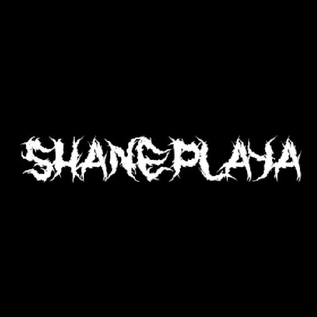 SHANE PLAYA's avatar image