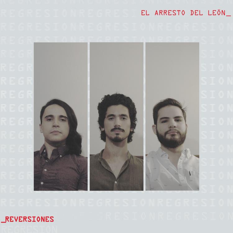 El Arresto Del León's avatar image