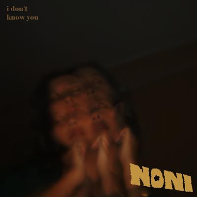 I Don't Know You By Noni's cover