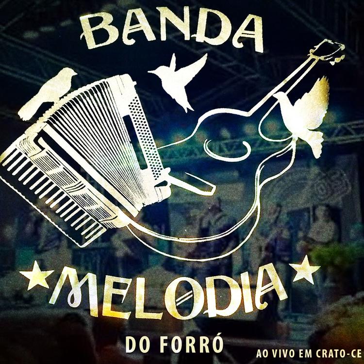 Banda Melodia do Forró's avatar image