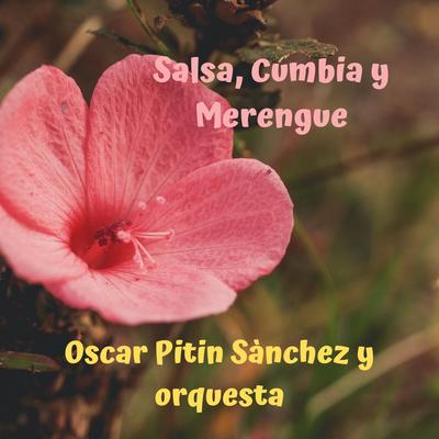 Salsa, Cumbia y Merengue's cover