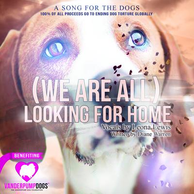 (We Are All) Looking for Home's cover