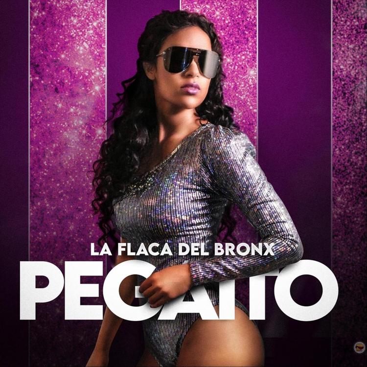 La Flaca del Bronx's avatar image