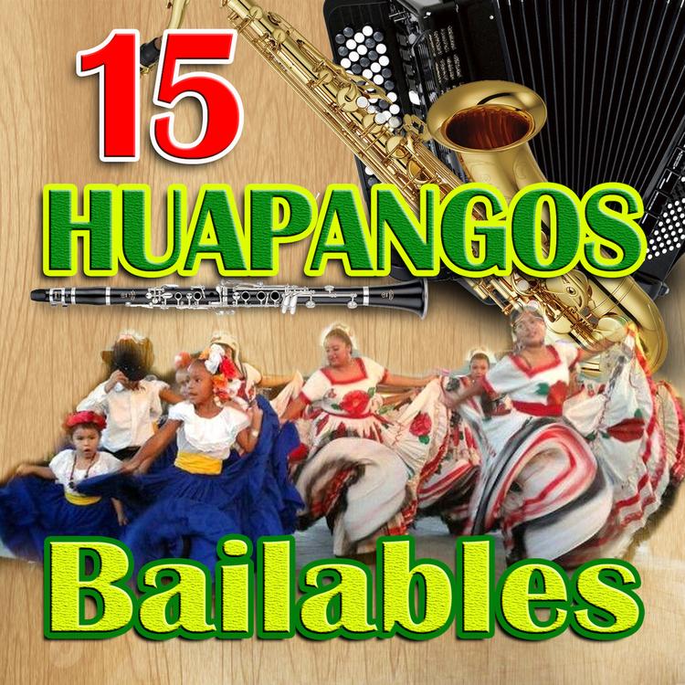 Los Huapangeros's avatar image