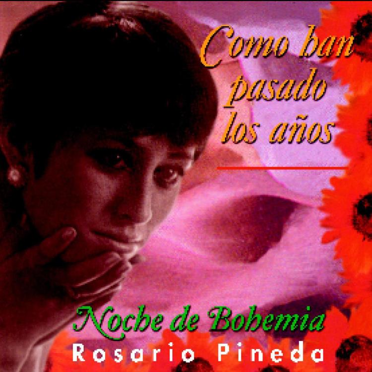 Rosario Pineda's avatar image