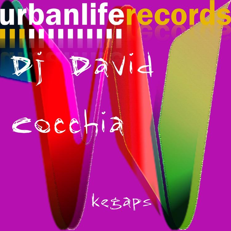 Dj David Cocchia's avatar image