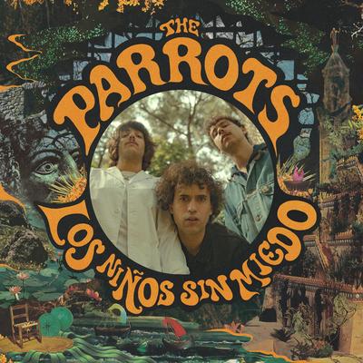 No Me Gustas, Te Quiero By The Parrots's cover