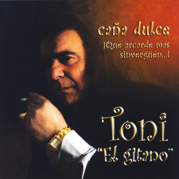 Toni "El Gitano"'s avatar image