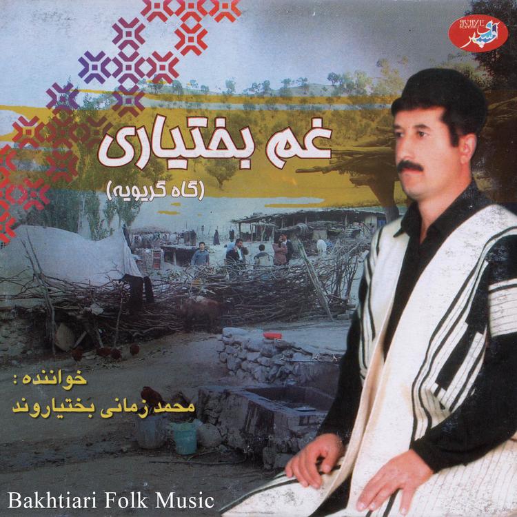 Mohammad Zamani Bakhtiarvand's avatar image