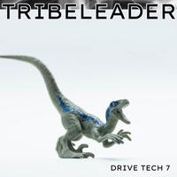 Tribeleader's avatar cover