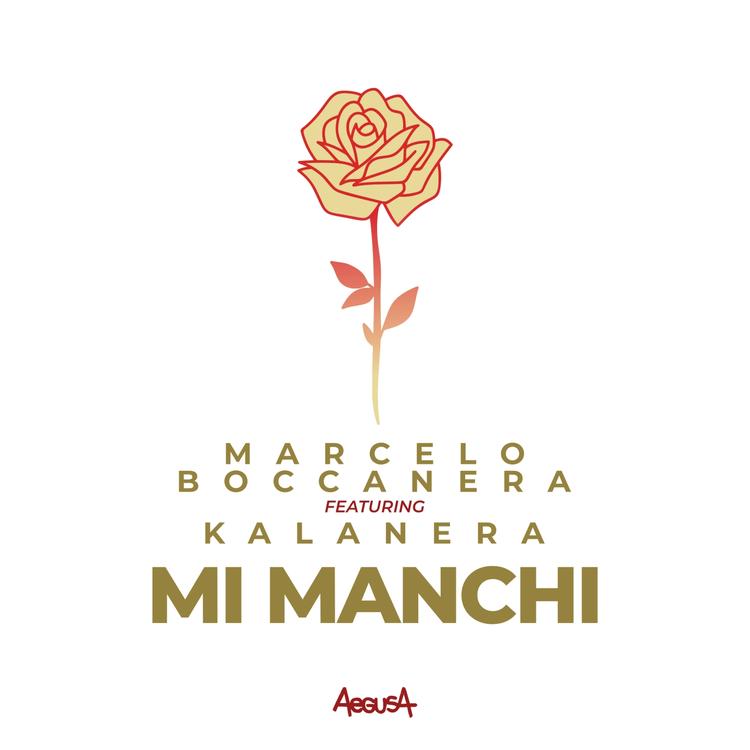 Marcelo Boccanera's avatar image