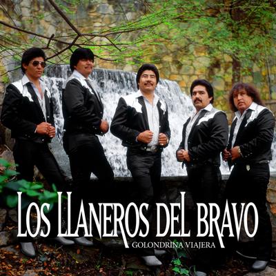 Los Llaneros del Bravo's cover