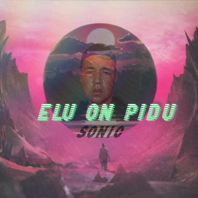 Elu on Pidu's cover