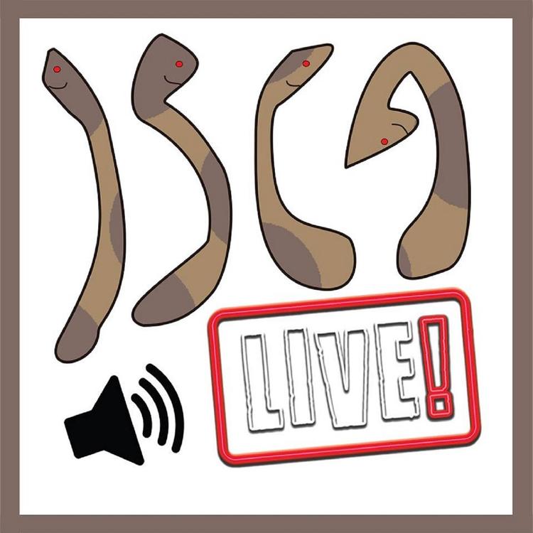 Isca Live's avatar image