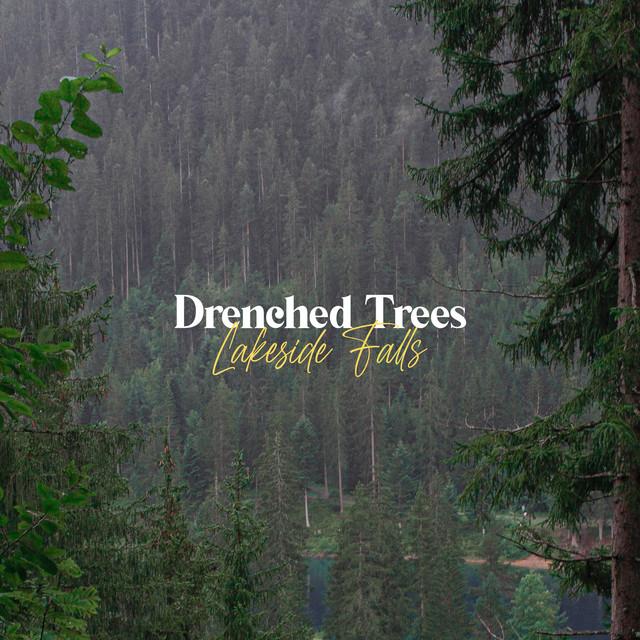 Drenched Trees's avatar image