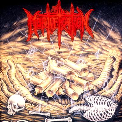Terminate Damnation By Mortification's cover