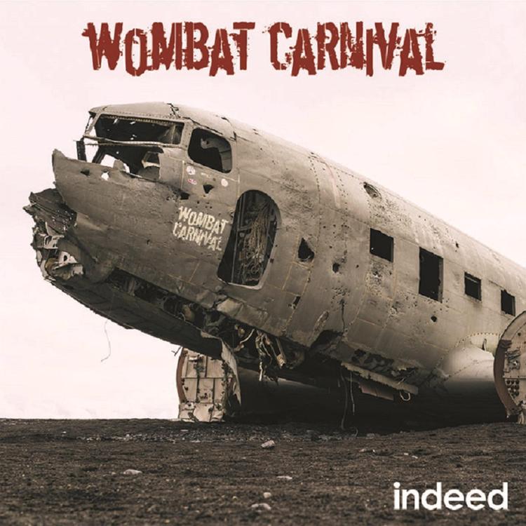 Wombat Carnival's avatar image