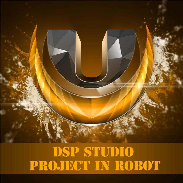 DSP Studio's avatar image