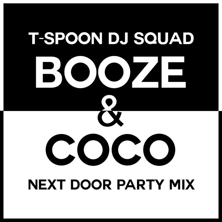 T-Spoon Dj Squad's avatar image