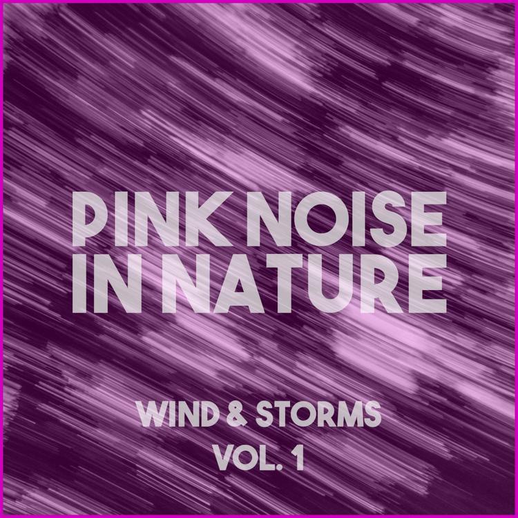 The Sound Of Pink Noise And Wind's avatar image