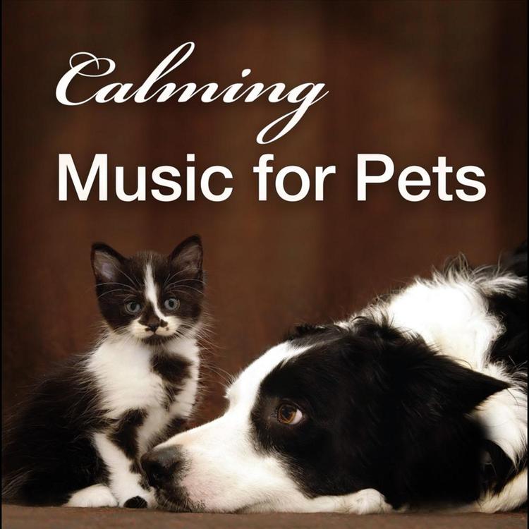 Soothing Music & Relaxing Nature Sounds for Household Cats, Dogs, Puppies & Kittens's avatar image