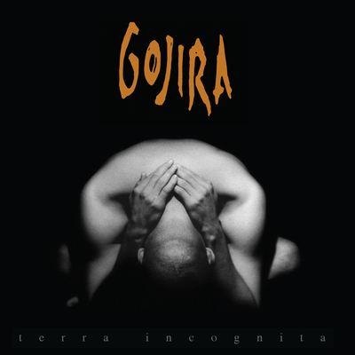 Terra Incognita's cover