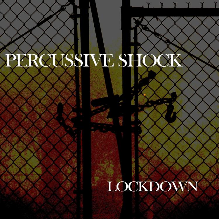 Percussive Shock's avatar image