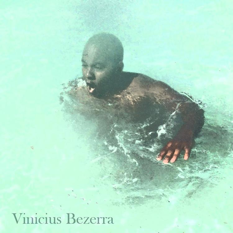 Vinicius Bezzerra's avatar image