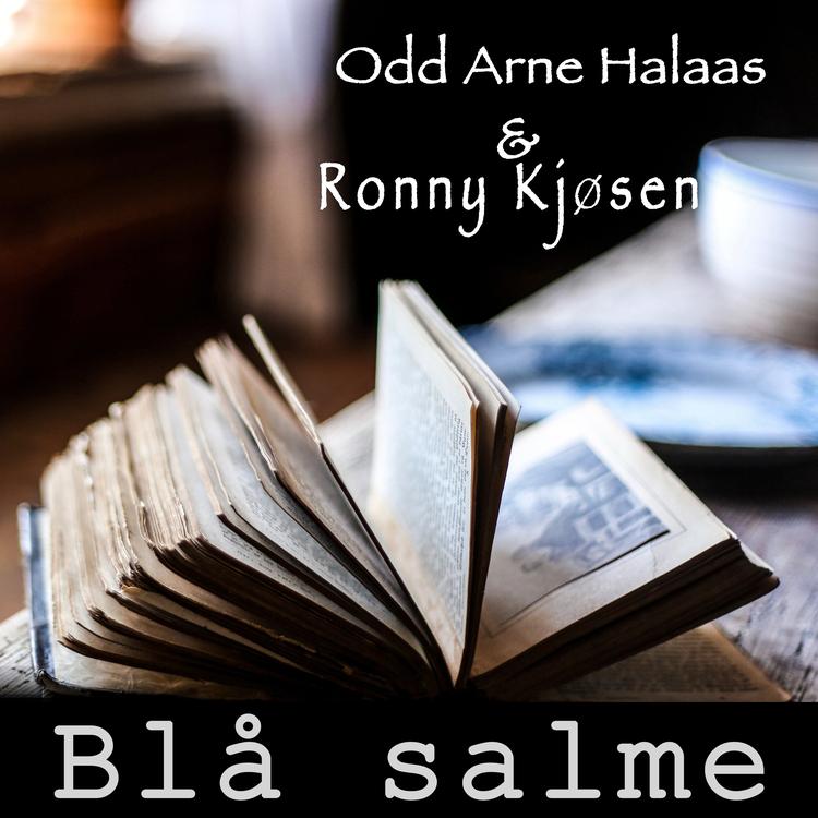 Odd Arne Halaas's avatar image