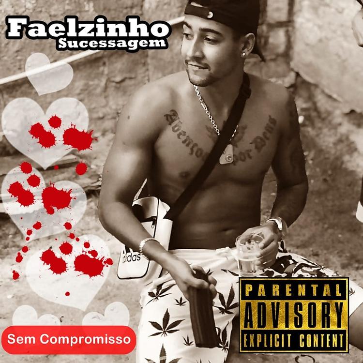 Faelzinho Sucessagem's avatar image