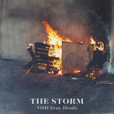 The Storm By ViSH, Deadz's cover