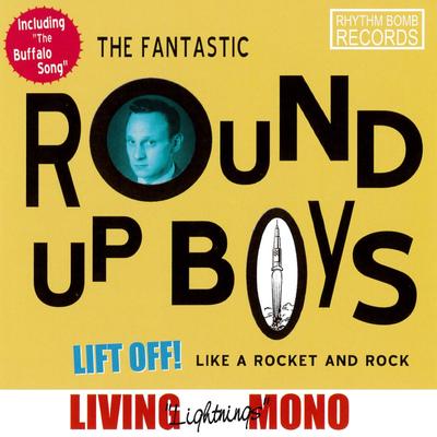 The Round Up Boys's cover