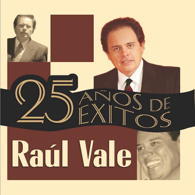 RAUL VALE's avatar image