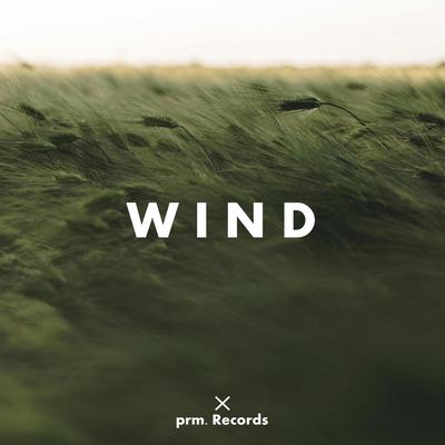 Wind By Prm.'s cover