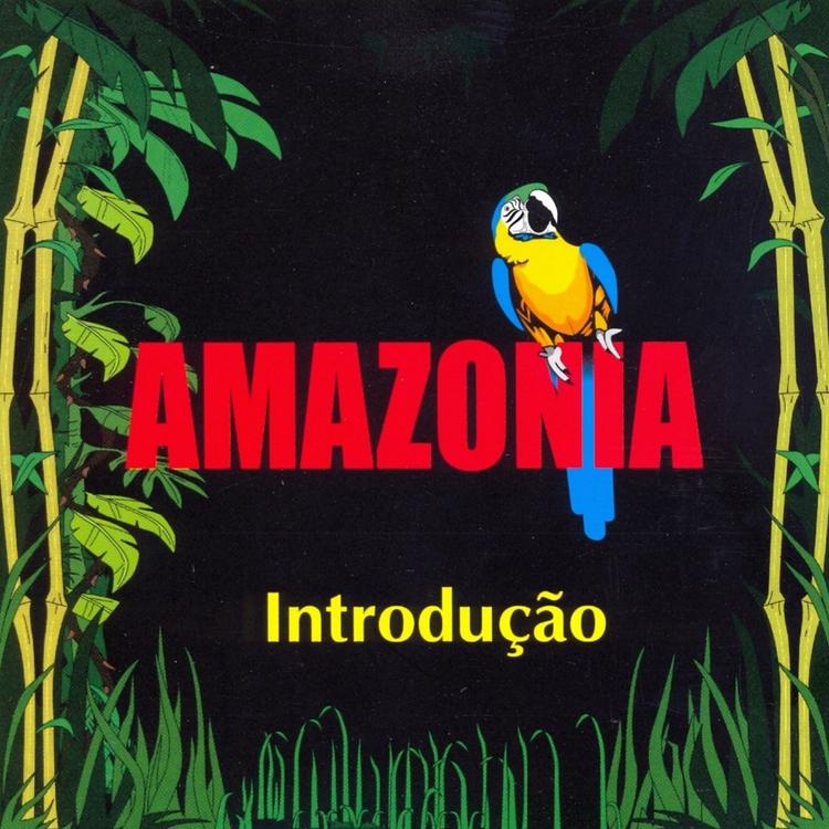 Amazonia's avatar image