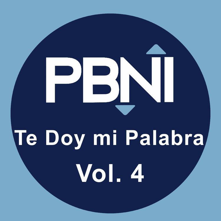 Pbni Audio's avatar image