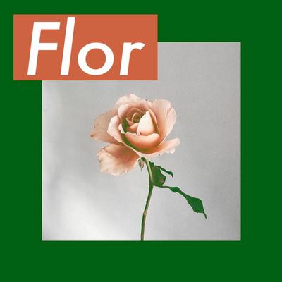 Flor By MC Dudu, Felipe Flip, Ecologyk's cover