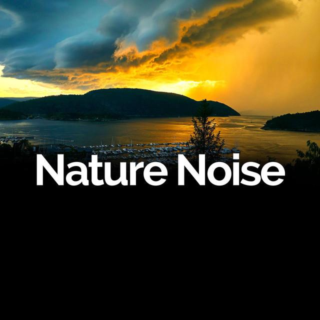 Nature Noise's avatar image